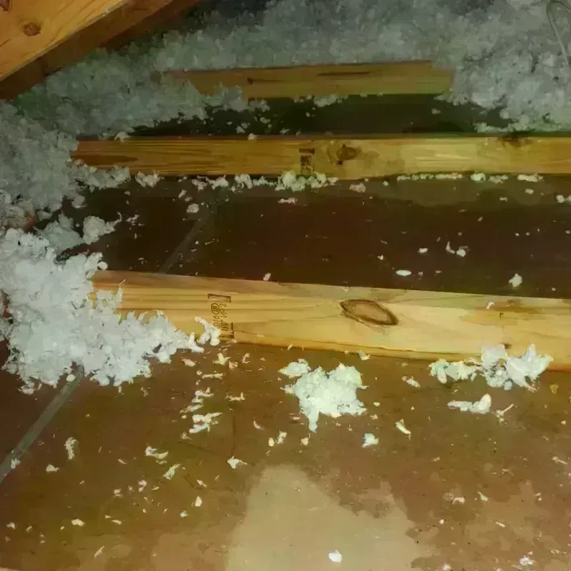 Attic Water Damage in Fair Plain, MI