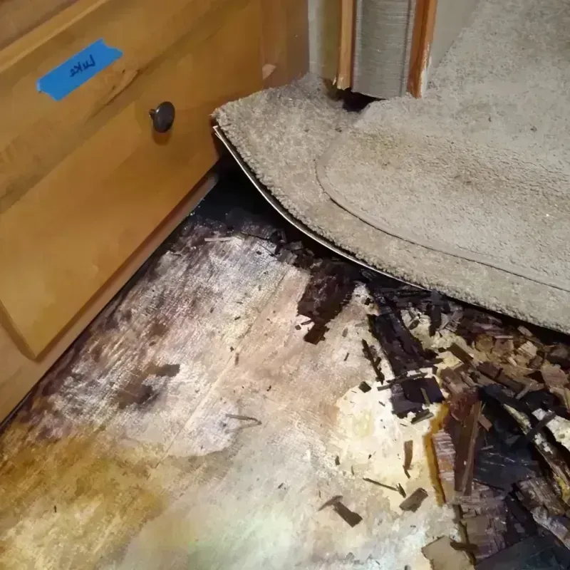 Wood Floor Water Damage in Fair Plain, MI